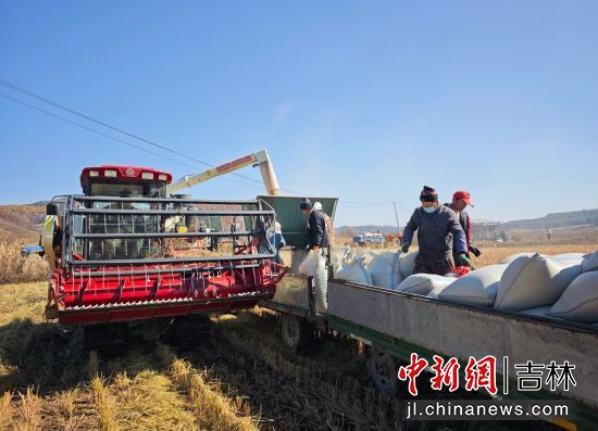 ���D�hί������/���D