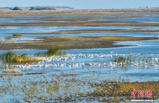 10��16��������ĪĪ����Ҽ���Ȼ���o�^(q��)�Ȱ������ڑ�ˮ��(�o�˙C��Ƭ)�w��� �z