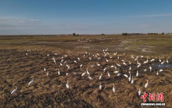 10��16�գ��ڼ���ĪĪ����Ҽ���Ȼ���o�^(q��)�Ȱ��Q����Ϣ��(�o�˙C��Ƭ)�w��� �z