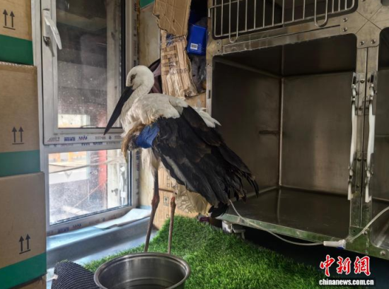 �܂��Ė|�����X���ڽ����ί�����ʯ���� �z