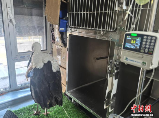 �܂��Ė|�����X���ڽ���ݔҺ�ί�����ʯ���� �z