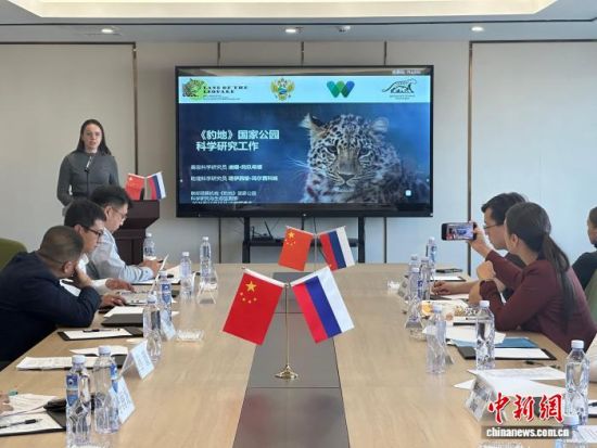 ���_˹���ҷ������o(h��)�|������(j��ng)�(y��n)�������� �z