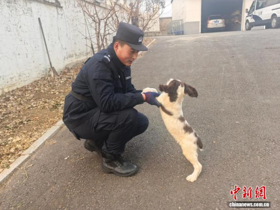 ���Ҳ������c�[�����B(y��ng)�H�ܶ�����ʯ���� �z