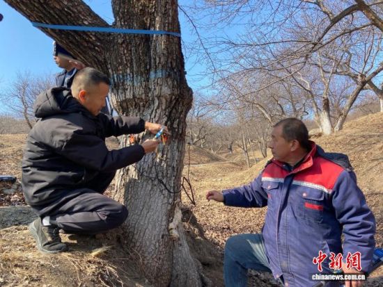 �����ˆT���ڌ���������������w�z�������� �z