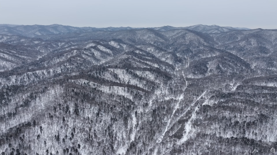 ���AƤ���(zh��n)ĵ���X�� �������ý�w���Ĺ��D