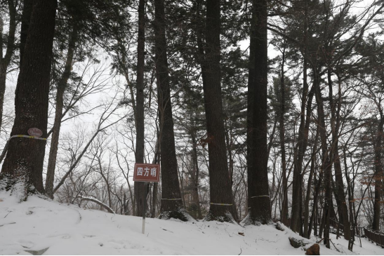 �ķ��������ڵ��� �������ý�w���Ĺ��D