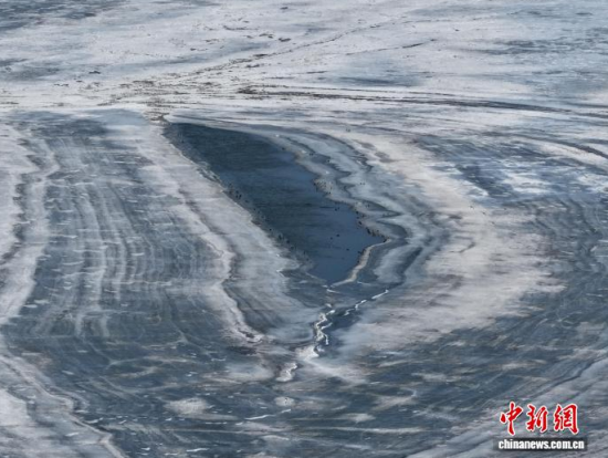 3��16���������(zh��n)�l�������������������B(ni��o)ͣЪҒʳ���������� �z