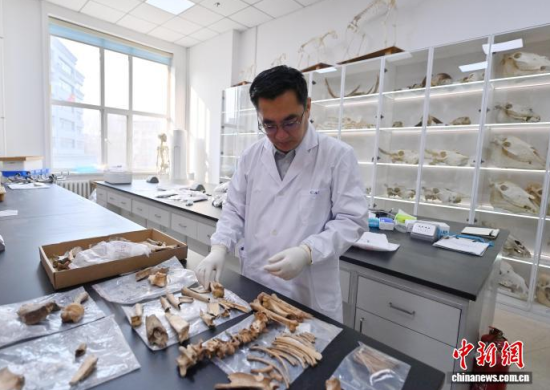 3��20�գ������L�����̴�������ӱ��������� �z