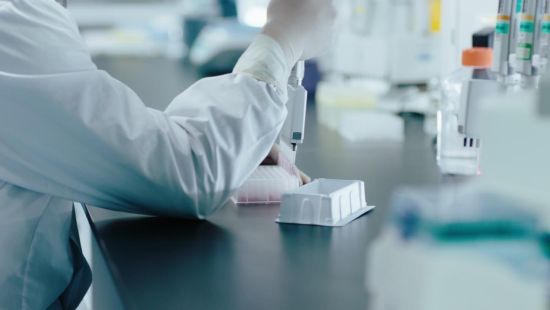 金賽藥業(yè)/供圖 金賽藥業(yè)/供圖