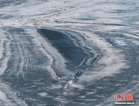 3��16���������(zh��n)�l�������������ڣ����BͣЪҒʳ���������� �z