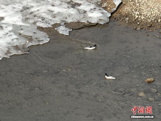 ���A��ɳ���ڼtʯ�օ^(q��)ˮ�������������L��ɽɭ�����F�tʯ�֘I(y��)���޹�˾���D